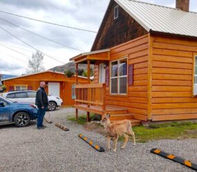 Yellowstone’s Treasure Cabin