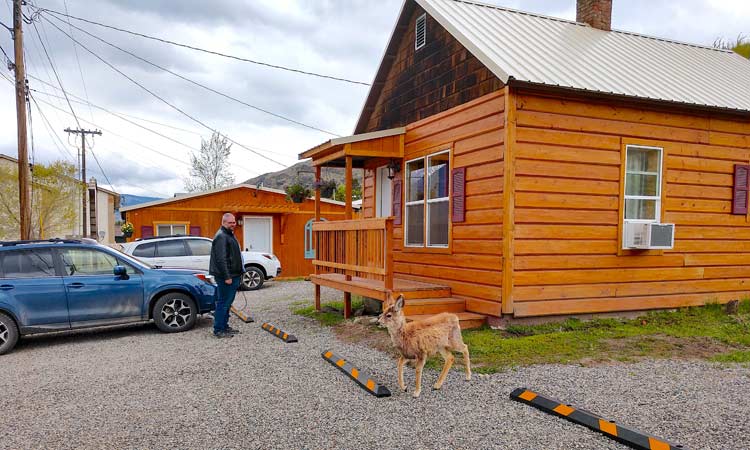 Yellowstone’s Treasure Cabin