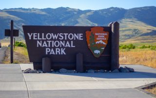 Which Yellowstone Entrance Is Best? A Guide to All 5 Gateways