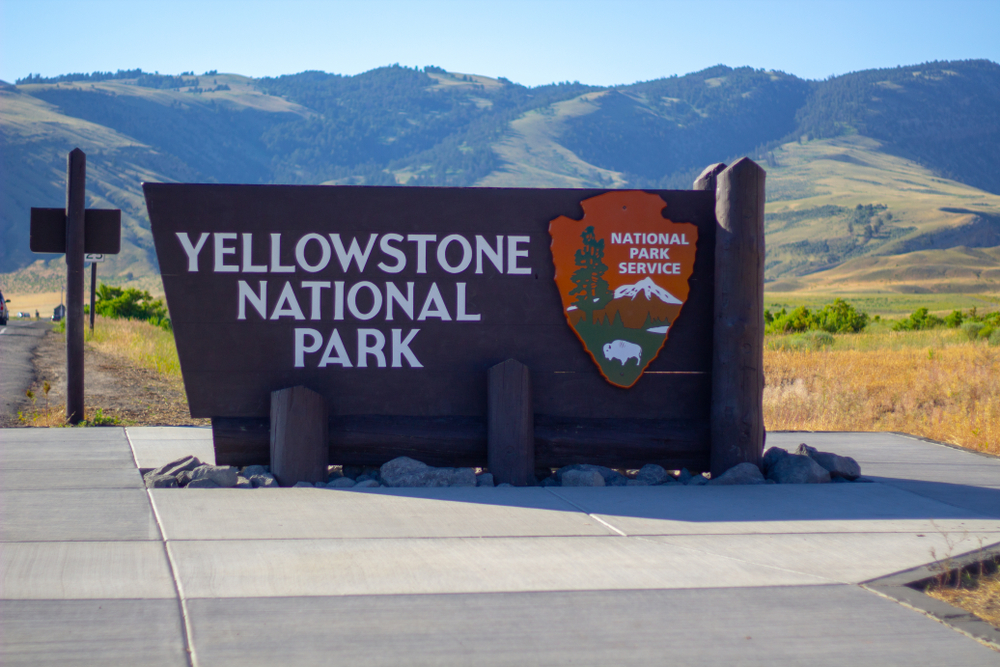 Which Yellowstone Entrance Is Best? A Guide to All 5 Gateways