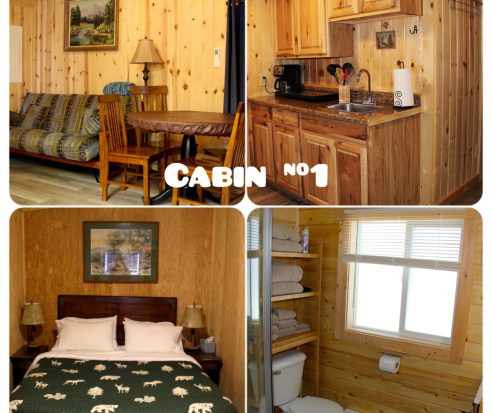 Cabin 1