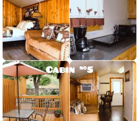 Cabin 5