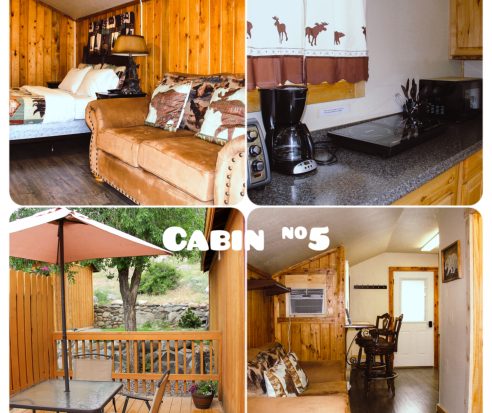 Cabin 5