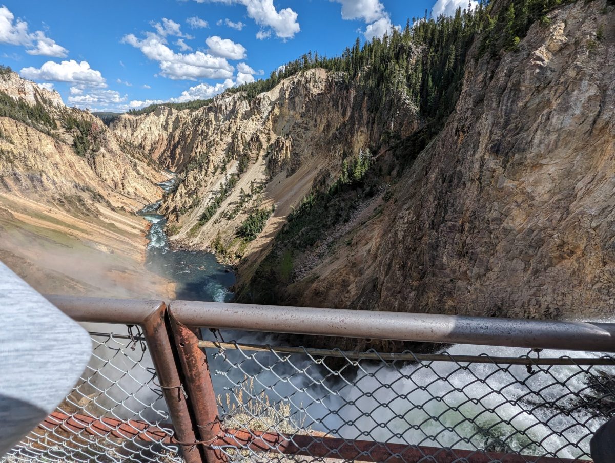 Immerse Yourself in Comfort: Discover the Premier Cabin Rental in Yellowstone Park